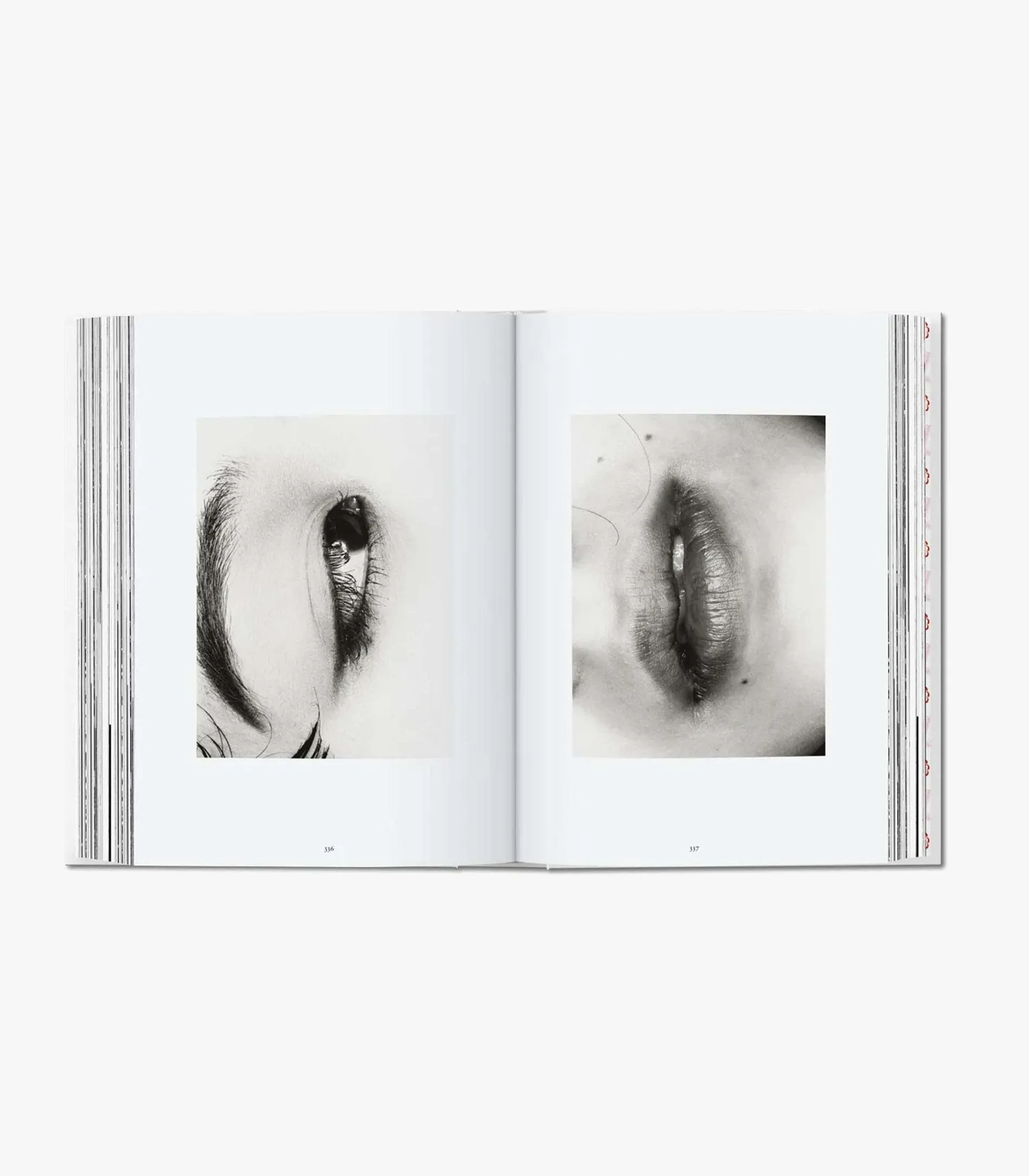 Araki. 40Th Ed.