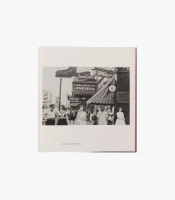 Robert Frank: In America